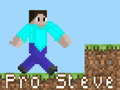 leikur Pro Steve