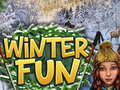 leikur Winter Fun