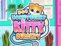 leikur Doc HoneyBerry Kitty Surgery