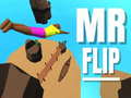 leikur Mr Flip