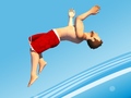 leikur Flip Divers