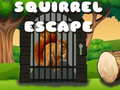 leikur Squirrel Escape