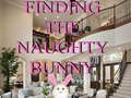 leikur Finding The Naughty Bunny