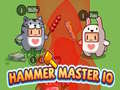 leikur Hammer Master io