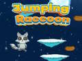 leikur Jumping Raccoon
