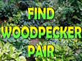 leikur Find Woodpecker Pair 