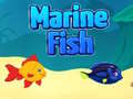 leikur Marine Fish