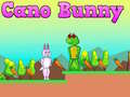 leikur Cano Bunny