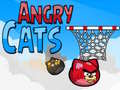 leikur Angry Cats