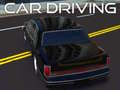 leikur Car Driving
