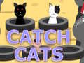 leikur Catch Cats