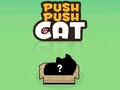leikur Push Push Cat