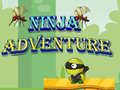 leikur Ninja Adventure