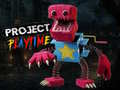 leikur Project Play Time