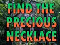 leikur Find The Precious Necklace