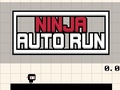 leikur Ninja Auto Run