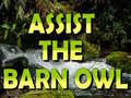 leikur Assist The Barn Owl 