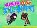 leikur Ninja Boy Flying