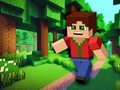leikur Minicraft