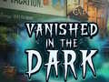 leikur Vanished in the Dark