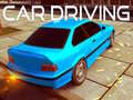 leikur Car Driving
