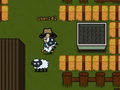 leikur Sheep13