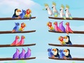 leikur Bird Sort Puzzle