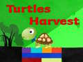 leikur Turtles Harvest
