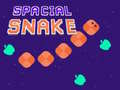 leikur Spacial Snake