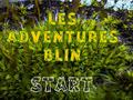 leikur Les Adventures Blin