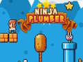 leikur Ninja Plumber
