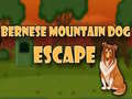 leikur Bernese Mountain Dog Escape