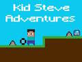 leikur Kid Steve Adventures