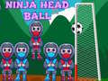 leikur Ninja Head Ball
