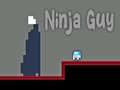 leikur Ninja Guy