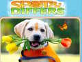 leikur Spot&Differs