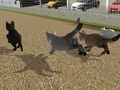 leikur Run Cat Cat Race
