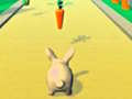 leikur Rabbit Runner