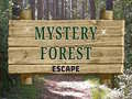 leikur Mystery Forest