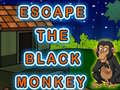 leikur Escape The Black Monkey