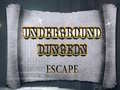leikur Underground Dungeon Escape