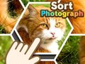 leikur Sort Photograph