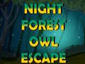 leikur Night Forest Owl Escape