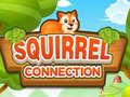 leikur Squirrel Connection