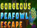 leikur Gorgeous Peafowl Escape