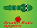 leikur Snake Eats Apple
