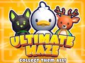 leikur Ultimate Maze! Collect Them All!
