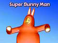 leikur Super Bunny Man