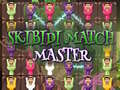 leikur Skibidi Match Master
