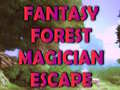 leikur Fantasy Forest Magician Escape